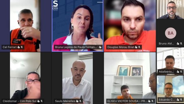 Integração e fortalecimento da Defesa Civil marcam reunião virtual entre instituições e municípios capixabas